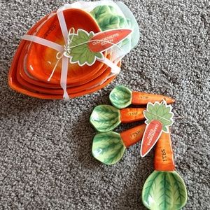 Spring kitchen measuring set